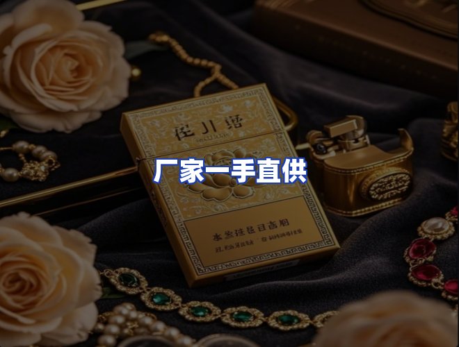 专业团队